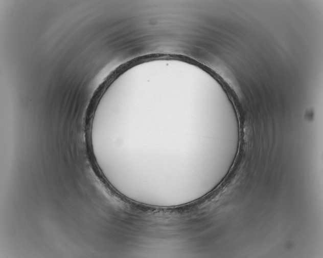 X0000089900972200707262247