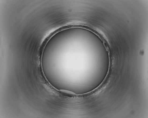 X0000089900973200707262247