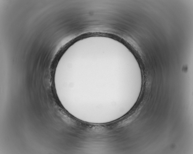 X0000089900974200707262247