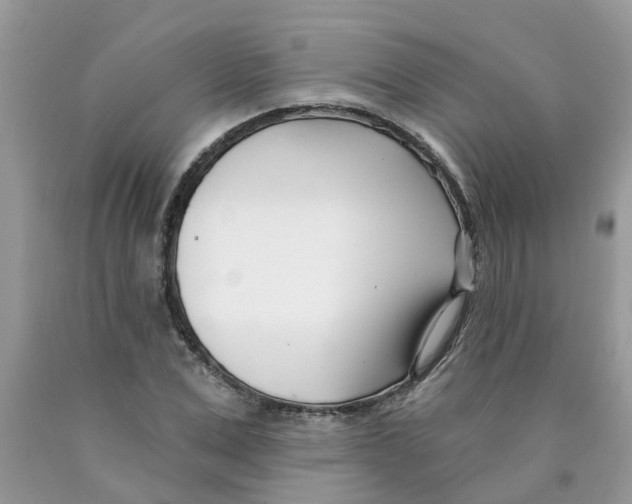 X0000089900975200707262247