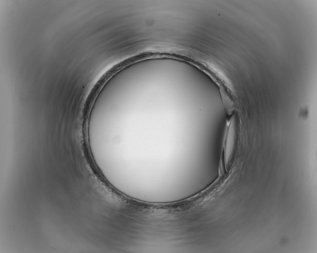 X0000089900976200707262247