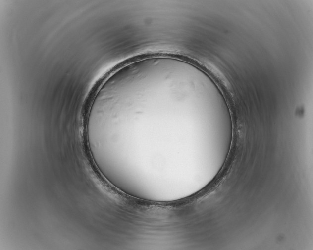 X0000089900981200707262247