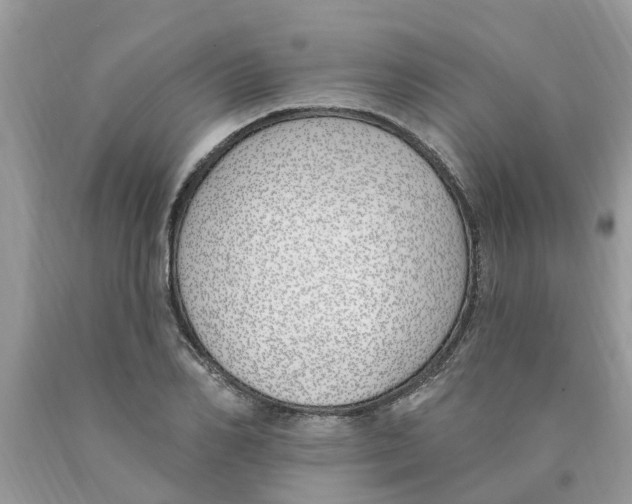 X0000089900982200707262247