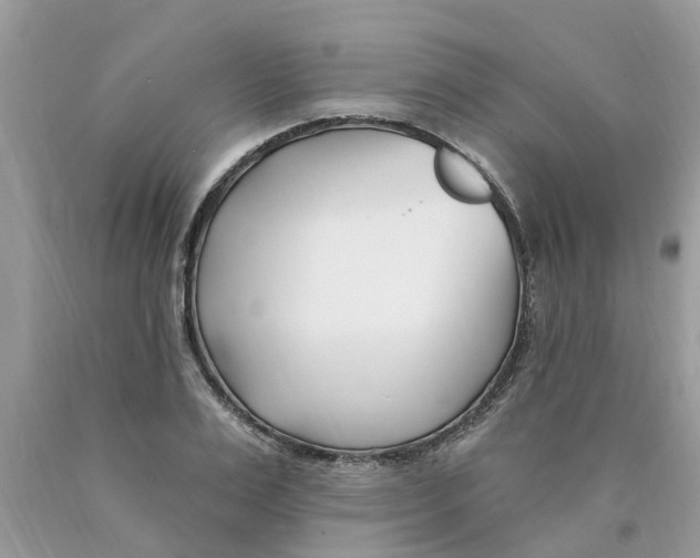 X0000089900983200707262247