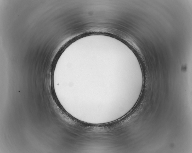 X0000089900984200707262247
