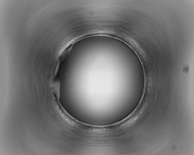 X0000089900985200707262247