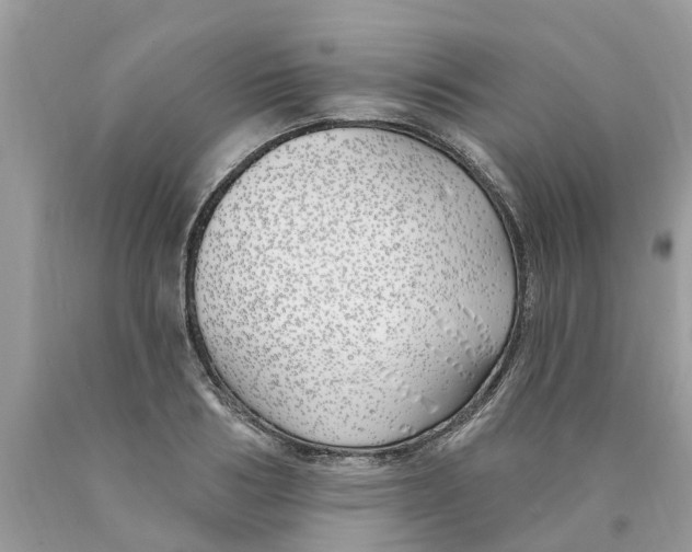 X0000089900986200707262247