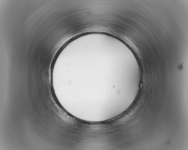 X0000089900988200707262247
