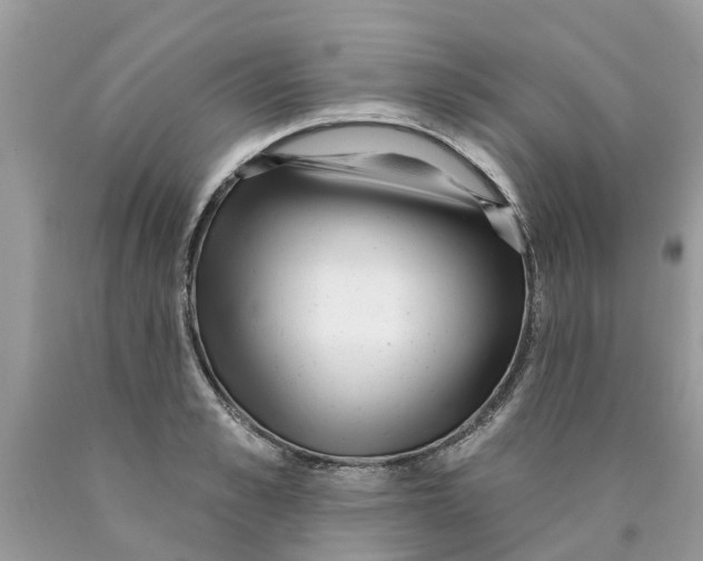 X0000089900989200707262247