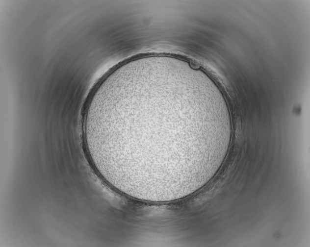 X0000089900990200707262247