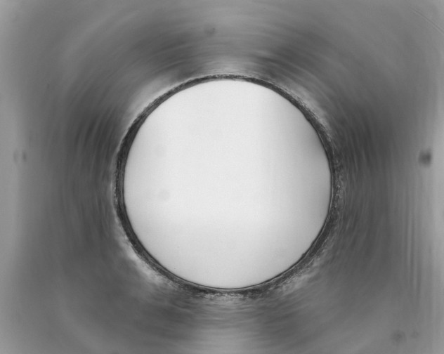X0000089900991200707262247