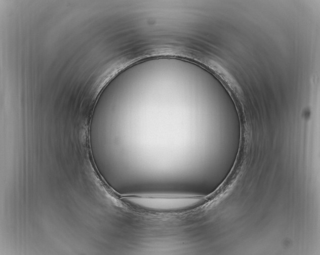 X0000089900993200707262247
