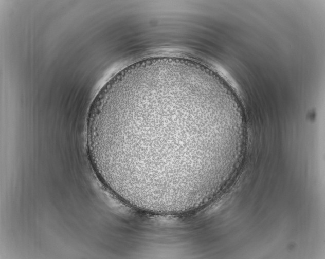 X0000089900994200707262247