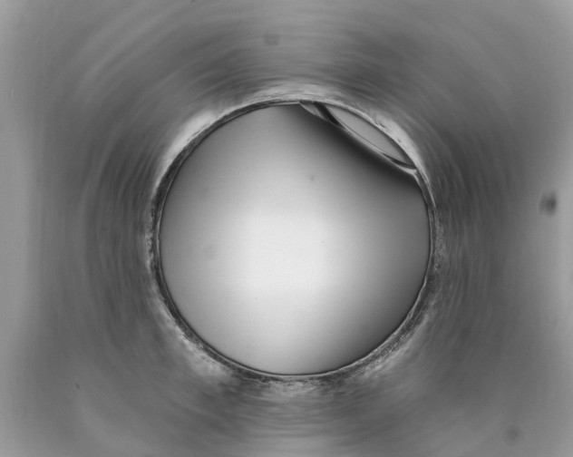 X0000089900997200707262247