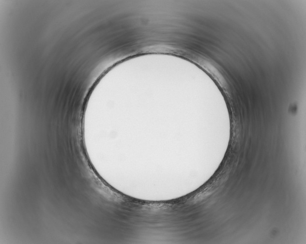 X0000089901000200707262247