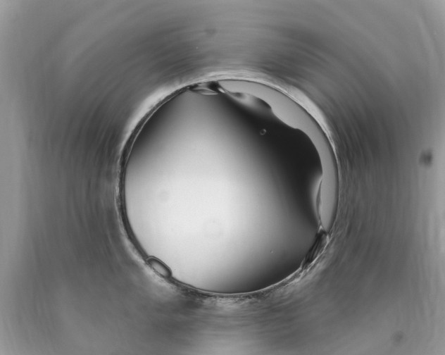 X0000089901005200707262246