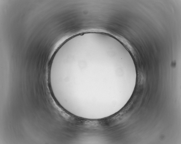 X0000089901006200707262246