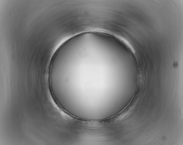 X0000089901007200707262246