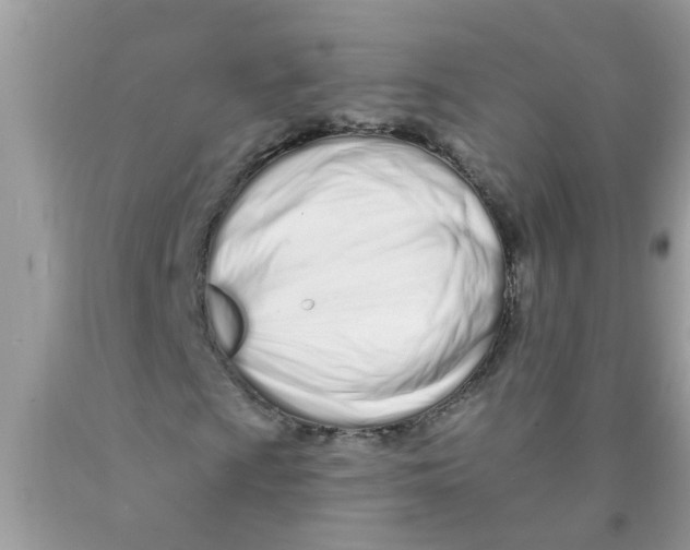 X0000089901009200707262246