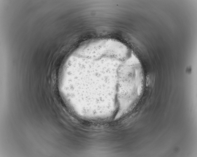 X0000089901011200707262246