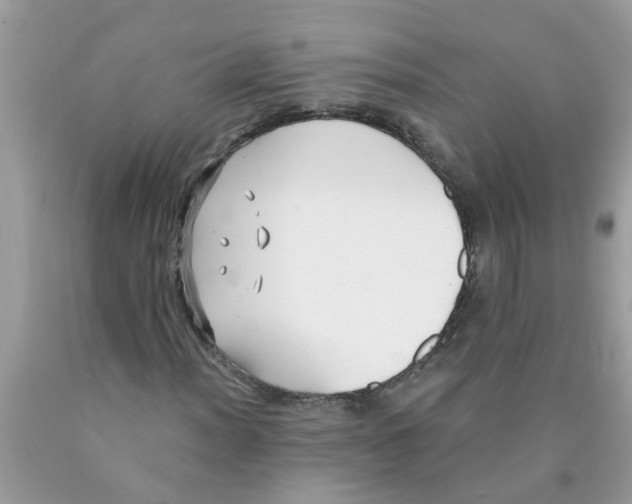 X0000089901012200707262246