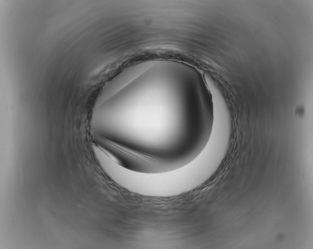 X0000089901014200707262246