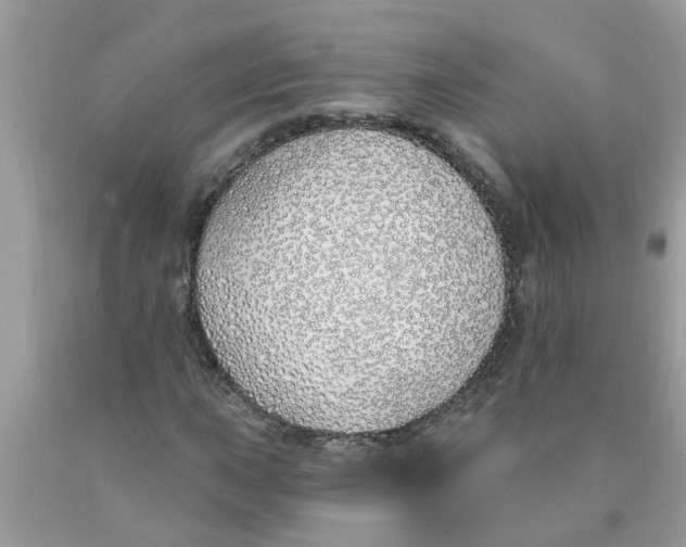 X0000089901015200707262246