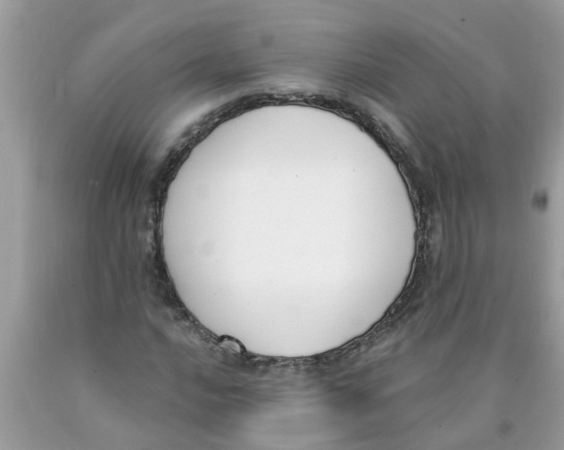 X0000089901016200707262246