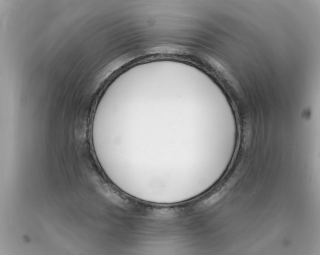 X0000089901017200707262246