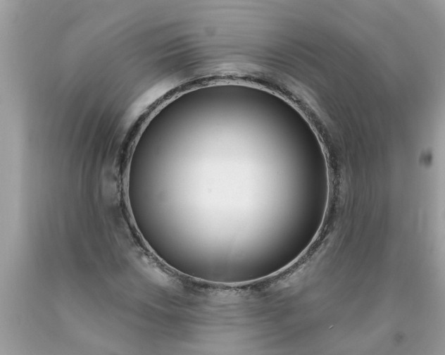 X0000089901018200707262246