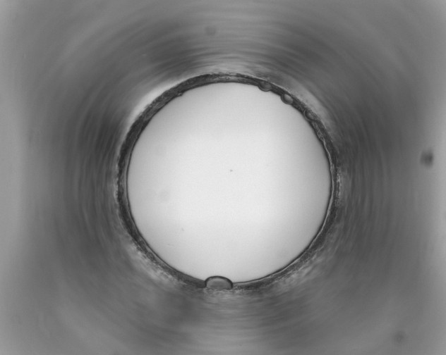 X0000089901020200707262246