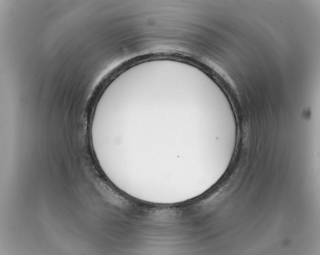X0000089901021200707262246