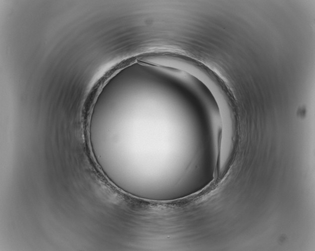 X0000089901022200707262246