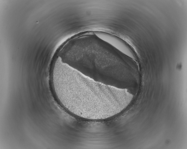 X0000089901024200707262246