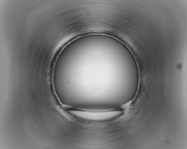 X0000089901026200707262246