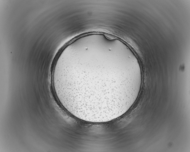 X0000089901028200707262246