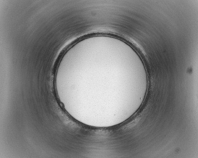X0000089901029200707262246