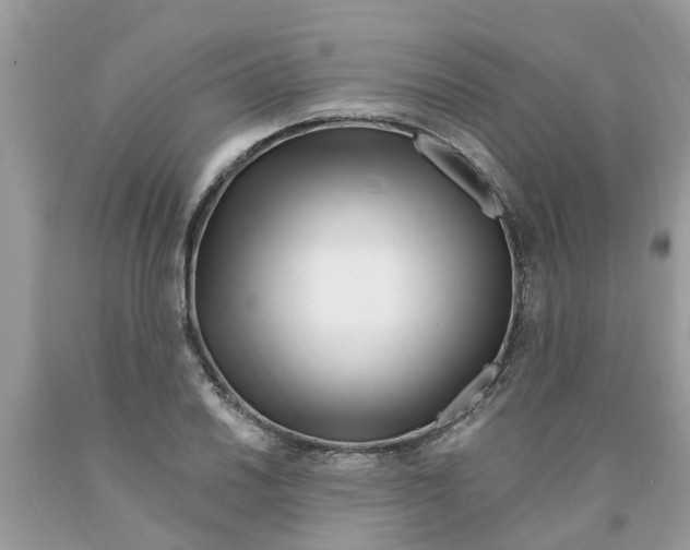 X0000089901030200707262246