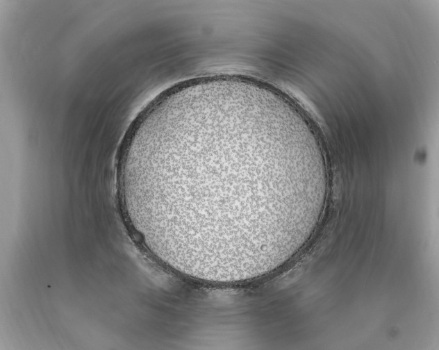 X0000089901031200707262246