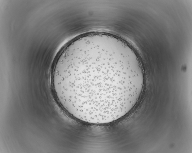 X0000089901032200707262246