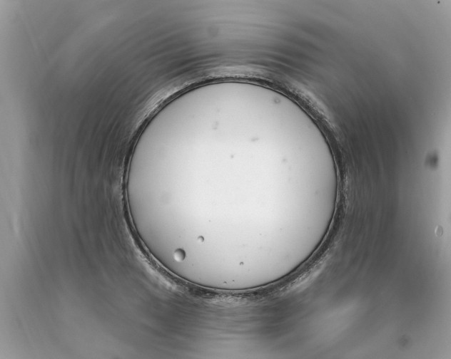 X0000089901033200707262246
