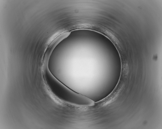 X0000089901034200707262246