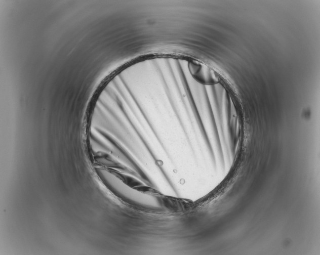 X0000089901037200707262246