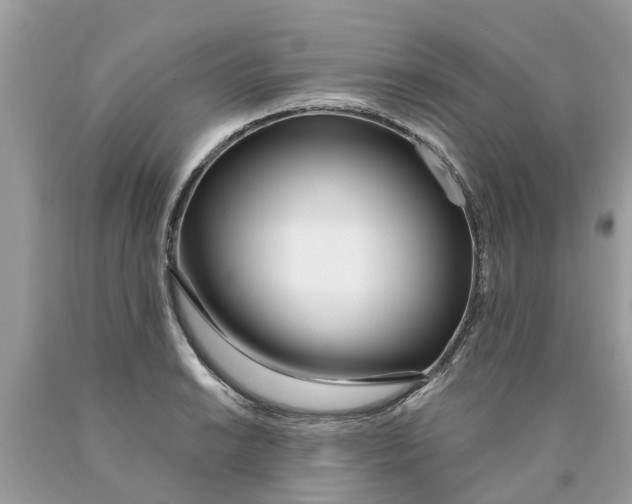 X0000089901038200707262246