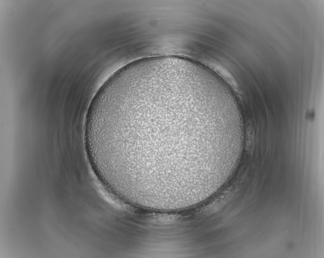 X0000089901039200707262246