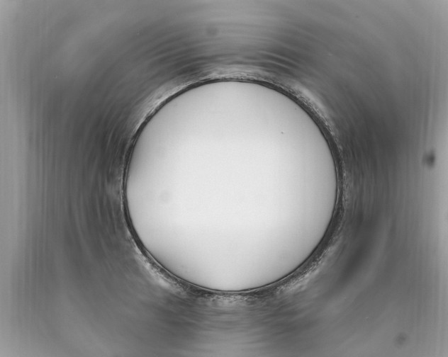 X0000089901041200707262246