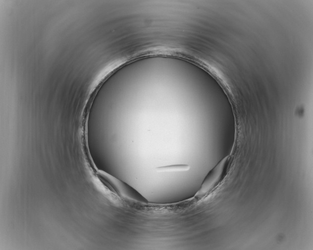 X0000089901042200707262246