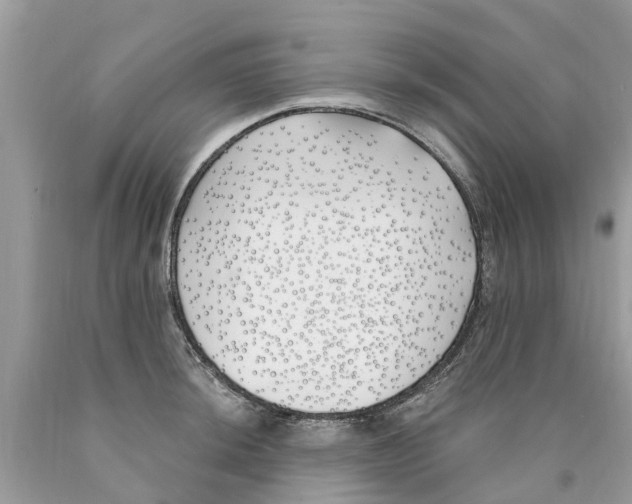 X0000089901044200707262246