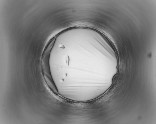 X0000089901045200707262246