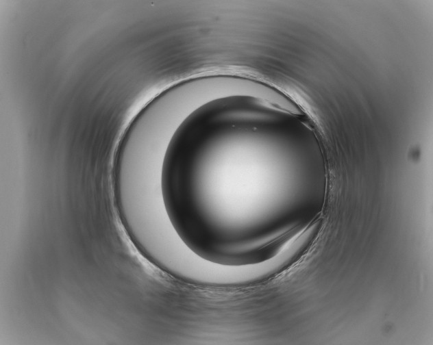 X0000089901046200707262246